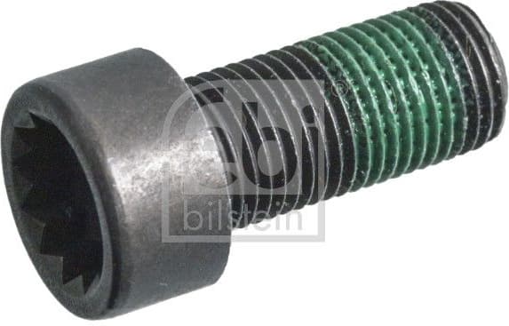 Flywheel Bolt 179619