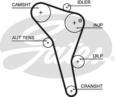 Timing Belt PowerGrip™ 5622XS