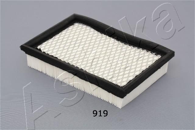 Air Filter 20-09-919