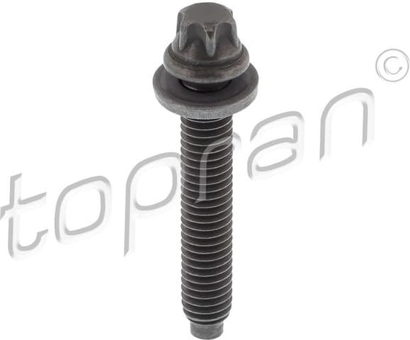 Screw 504 538