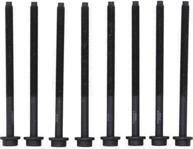 Cylinder Head Bolt Set 8709105
