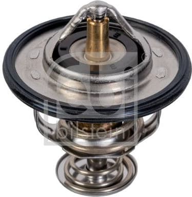 Thermostat, coolant 107701