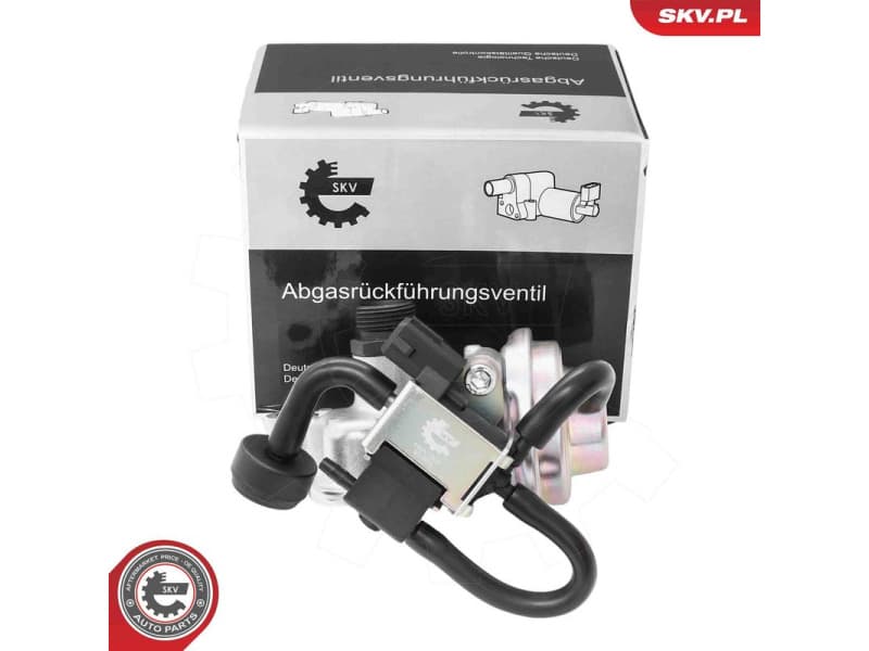 EGR Valve 14SKV268