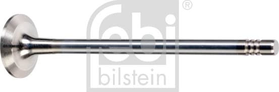 Exhaust Valve 176537