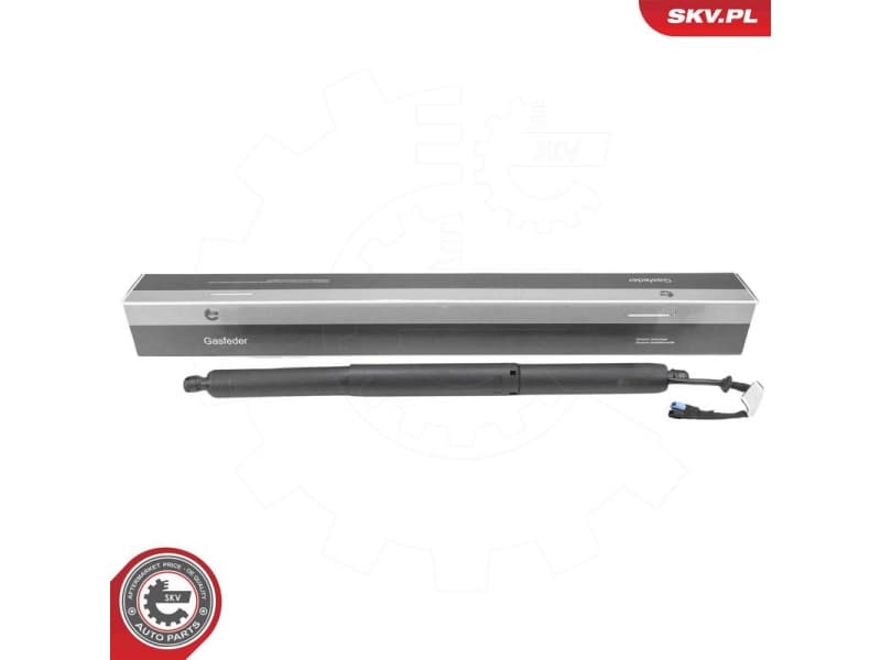 Electric Motor, tailgate 52SKV232