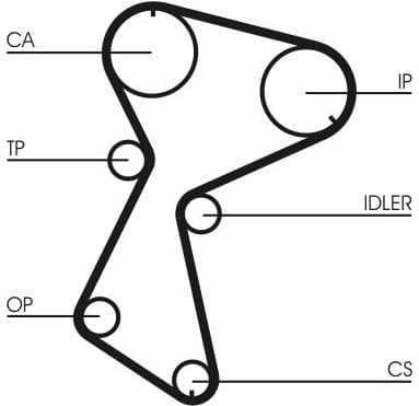 Timing Belt CT935 - image 2