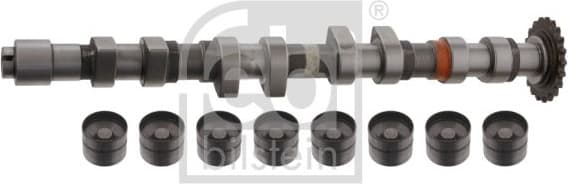 Camshaft Kit 33199