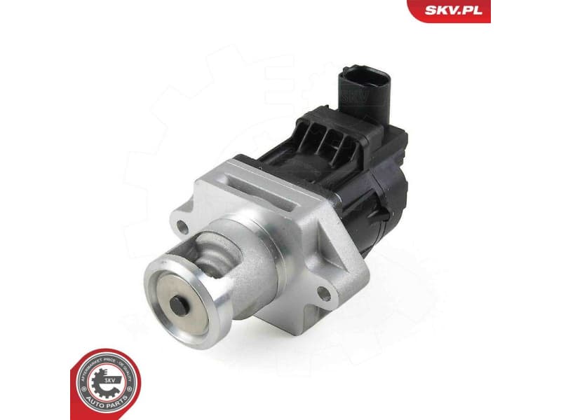 EGR Valve 14SKV296