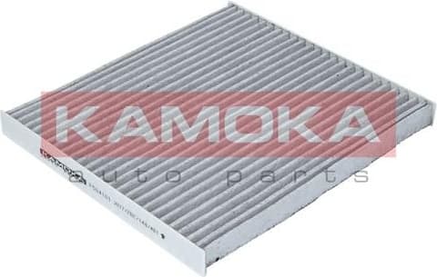 Filter, cabin air F504101