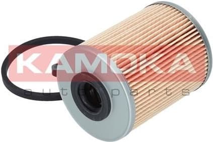 Fuel Filter F301101 - image 3