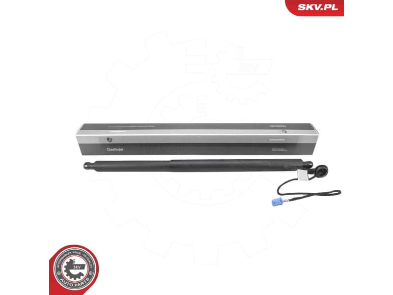 Electric Motor, tailgate 52SKV224