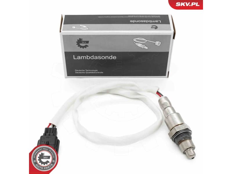 Oxygen Sensor 09SKV173