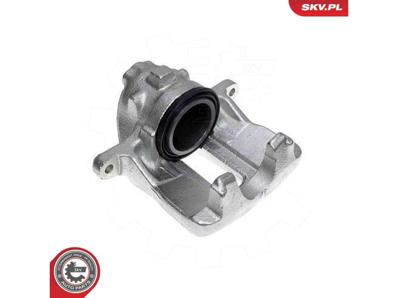 Brake Caliper 79SKV541