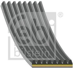 V-ribbed Belt 179891