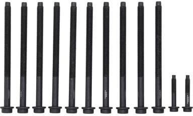 Cylinder Head Bolt Set 8709133