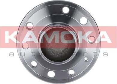 Bearing wheel 5500126