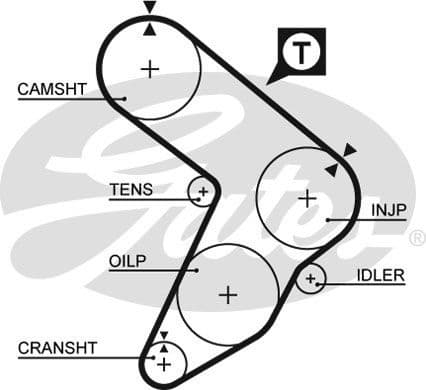 Timing Belt PowerGrip™ 5087 - image 2