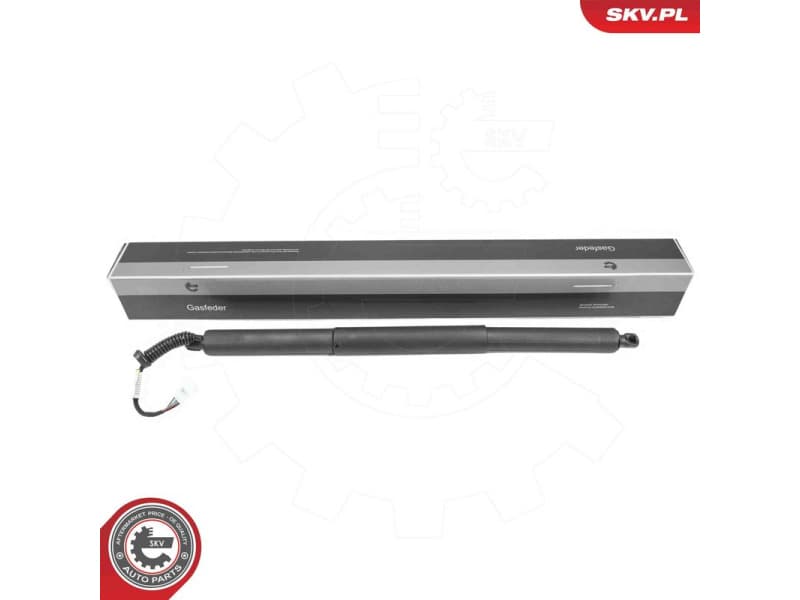 Electric Motor, tailgate 52SKV184