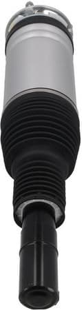 Air Suspension Strut 2070119