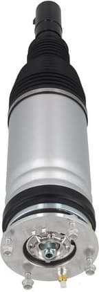 Air Suspension Strut 2070119 - image 3