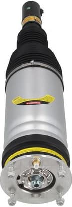 Air Suspension Strut 2070119 - image 4