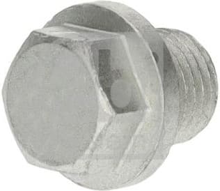 Screw Plug, oil sump 197040