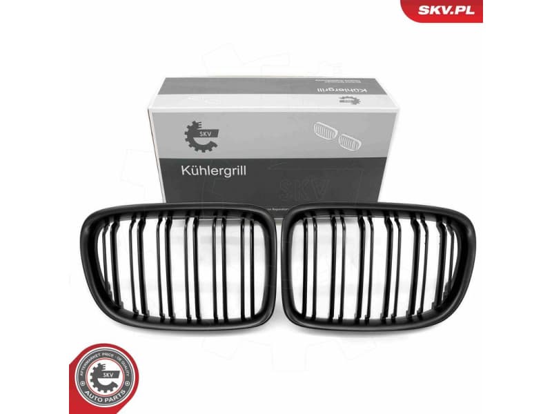 Radiator Grille 66SKV234