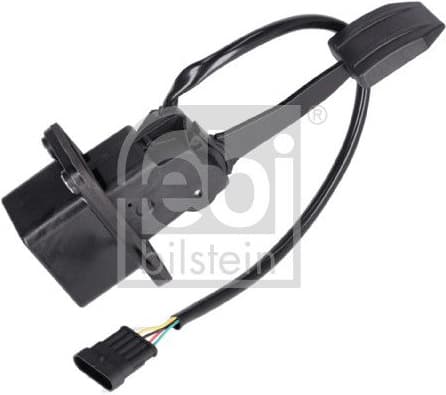 Accelerator Pedal 194309