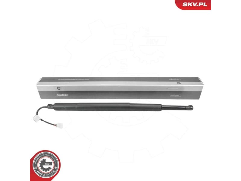 Electric Motor, tailgate 52SKV164