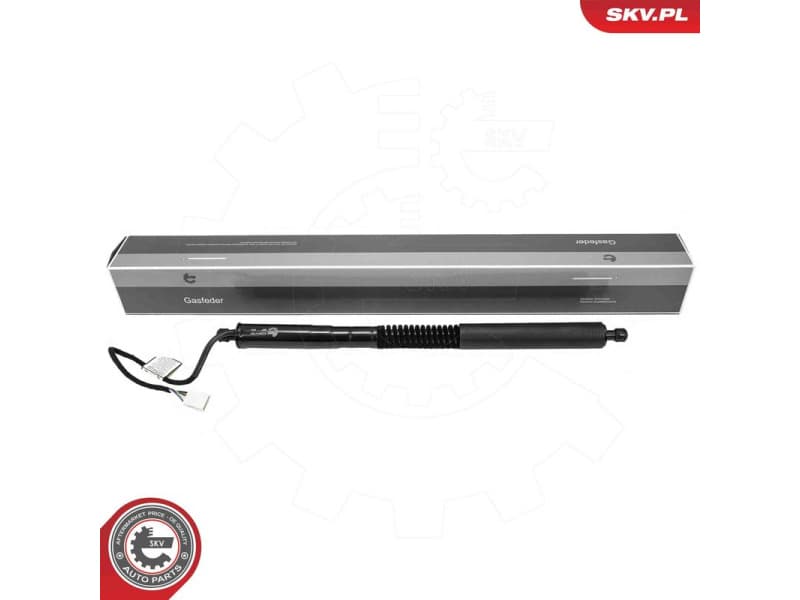 Electric Motor, tailgate 52SKV181