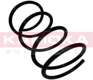 Coil spring 2110034