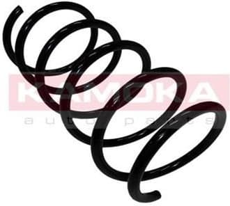 Coil spring 2110047