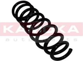 Coil spring 2110170