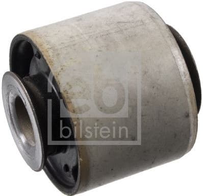 Mounting, control/trailing arm 197571