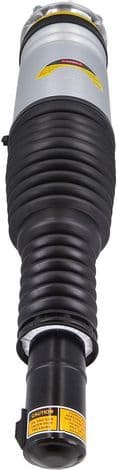 Air Suspension Strut 2070036
