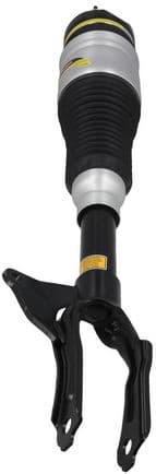 Air Suspension Strut 2070048