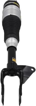 Air Suspension Strut 2070048 - image 2