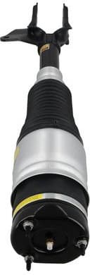 Air Suspension Strut 2070048 - image 3