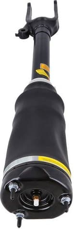 Air Suspension Strut 2070082 - image 2