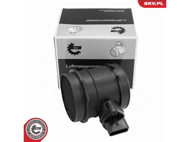 Mass Air Flow Sensor 07SKV301