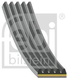 V-ribbed Belt 183324