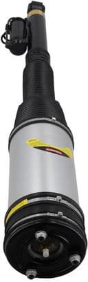 Air Suspension Strut 2070094 - image 3