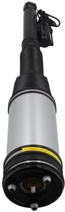 Air Suspension Strut 2070094 - image 4