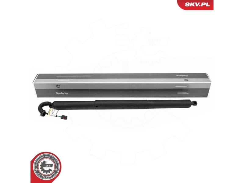 Electric Motor, tailgate 52SKV259