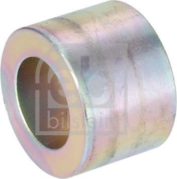 Bush, spring eye 192730