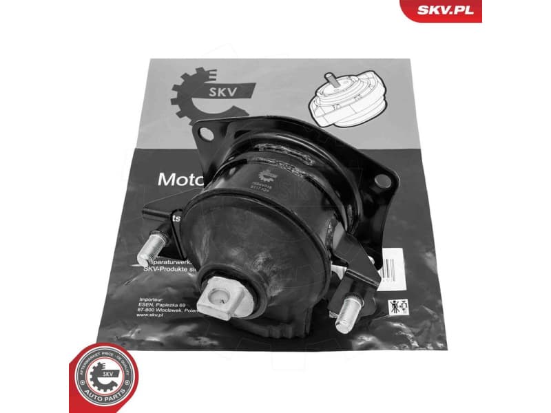 Mounting, engine 75SKV318