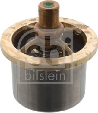 Thermostat, coolant 46333