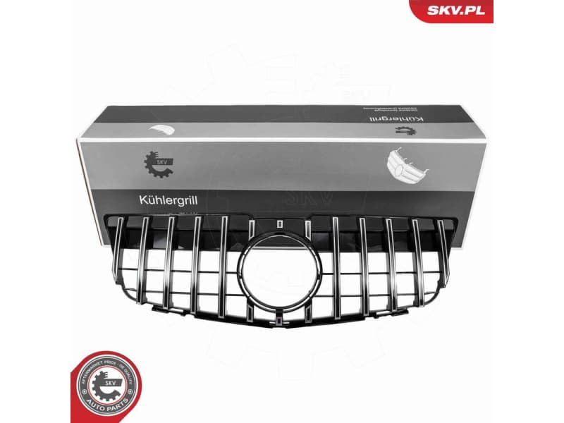 Radiator Grille 66SKV597