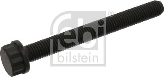 Cylinder Head Bolt 09798