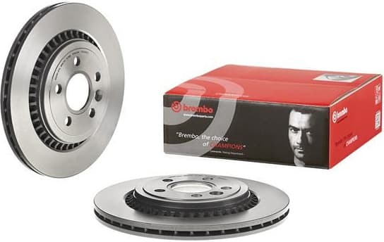 Brake discs kit rear, (2pcs), Top Quality 09.D393.11 - image 4